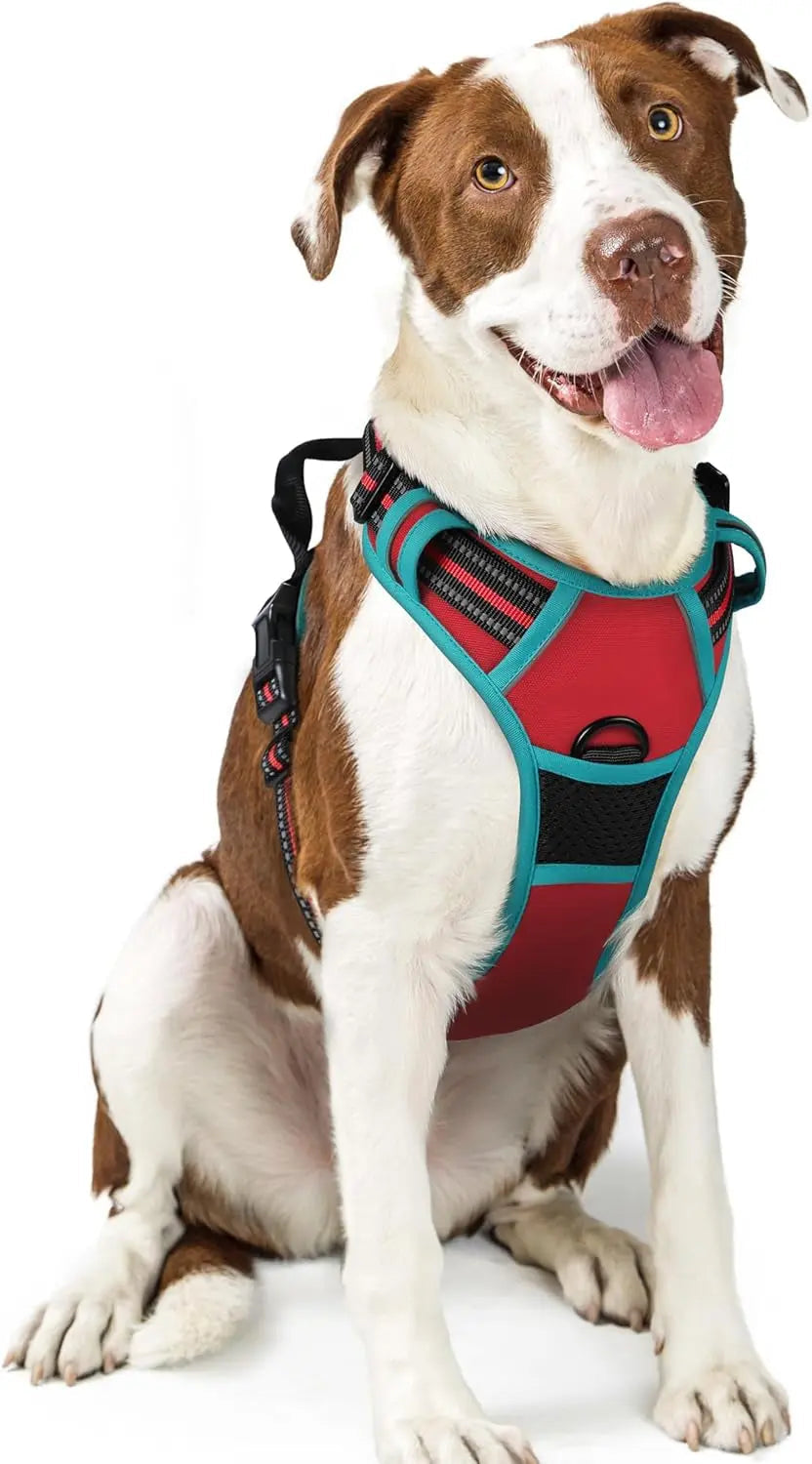 No-Pull Dog Harness