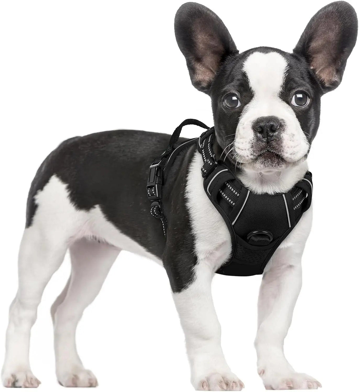 No-Pull Dog Harness