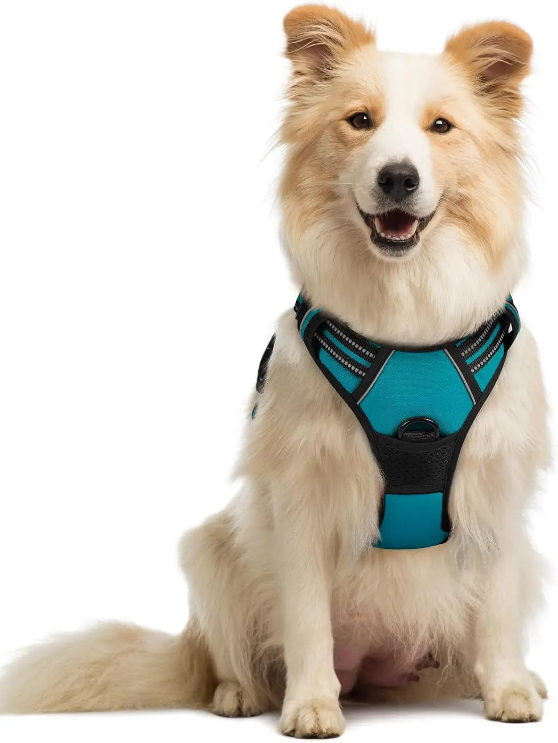 No-Pull Dog Harness