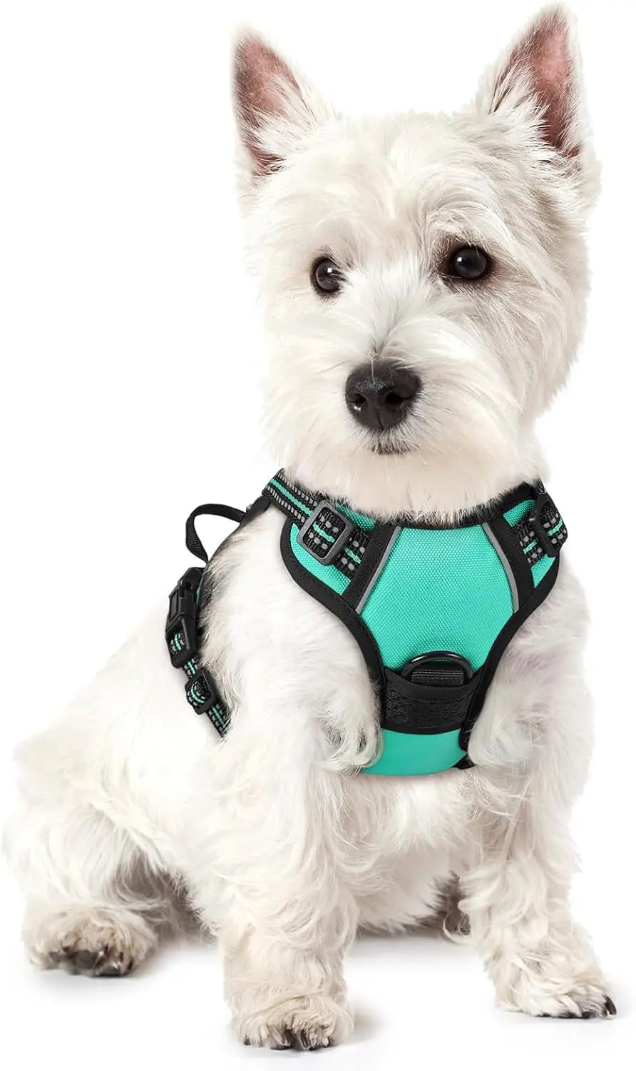 No-Pull Dog Harness