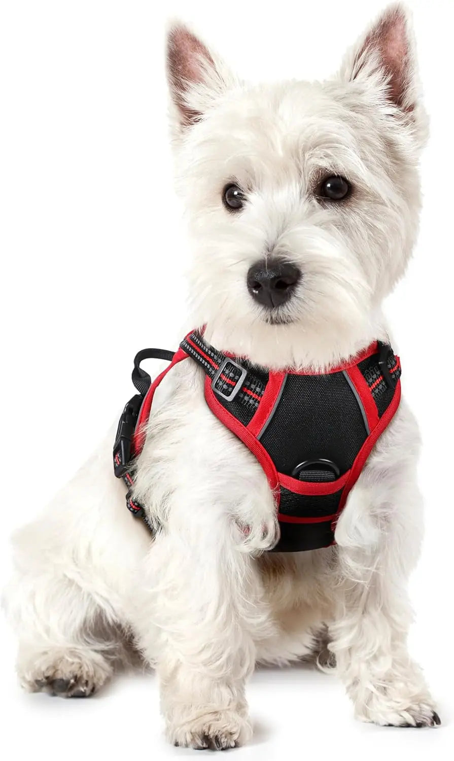 No-Pull Dog Harness