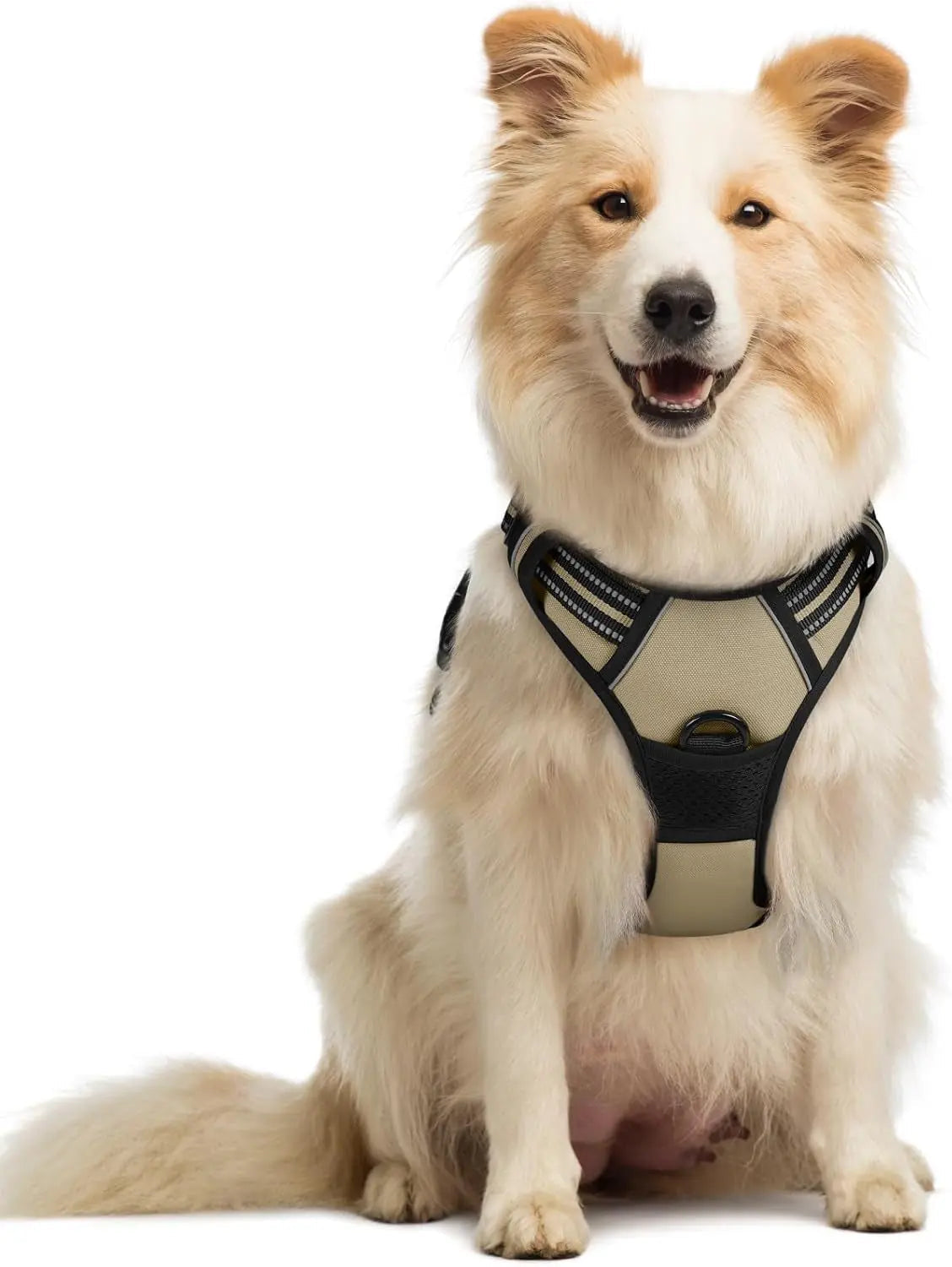 No-Pull Dog Harness