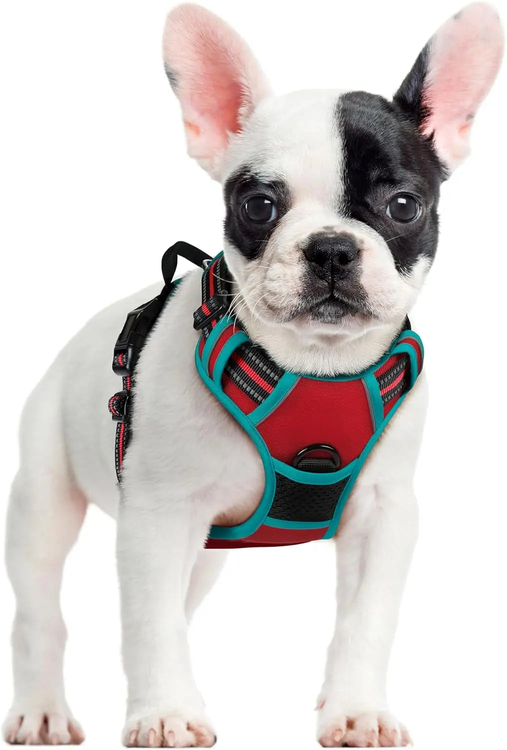 No-Pull Dog Harness
