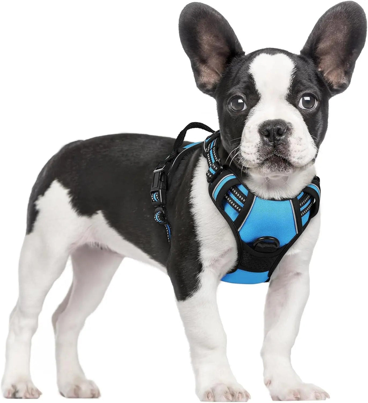 No-Pull Dog Harness