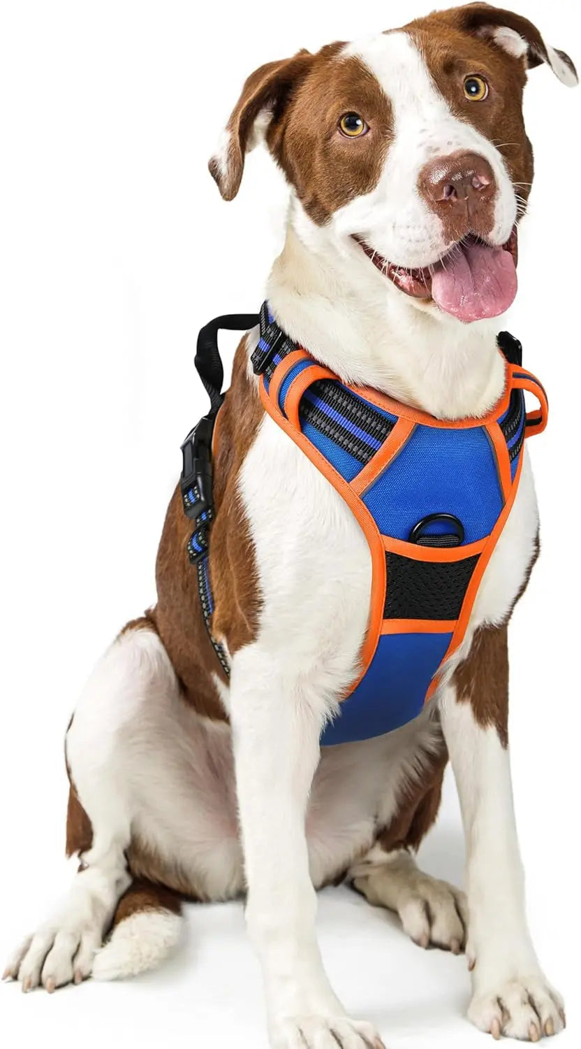 No-Pull Dog Harness