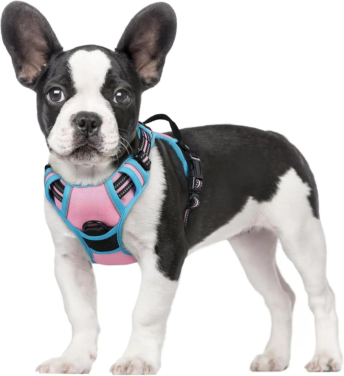 No-Pull Dog Harness