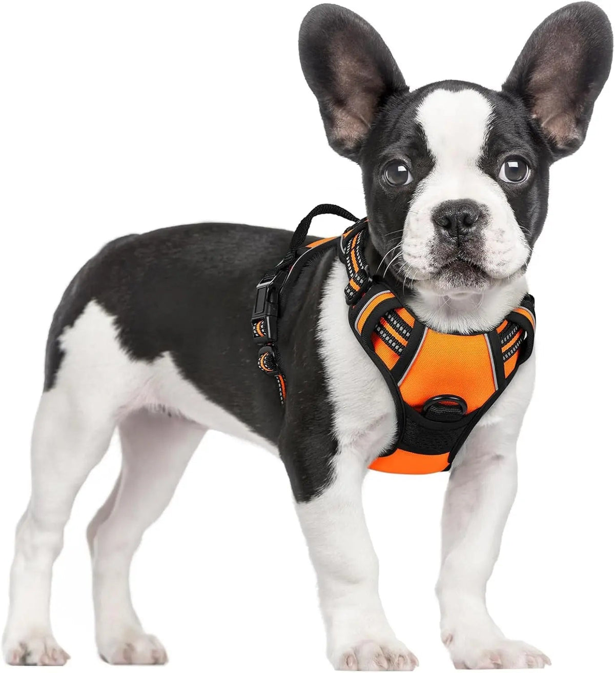 No-Pull Dog Harness