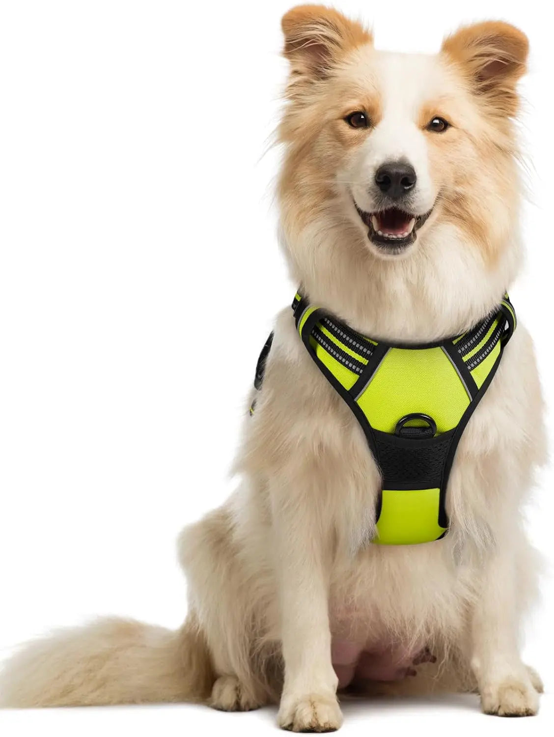 No-Pull Dog Harness