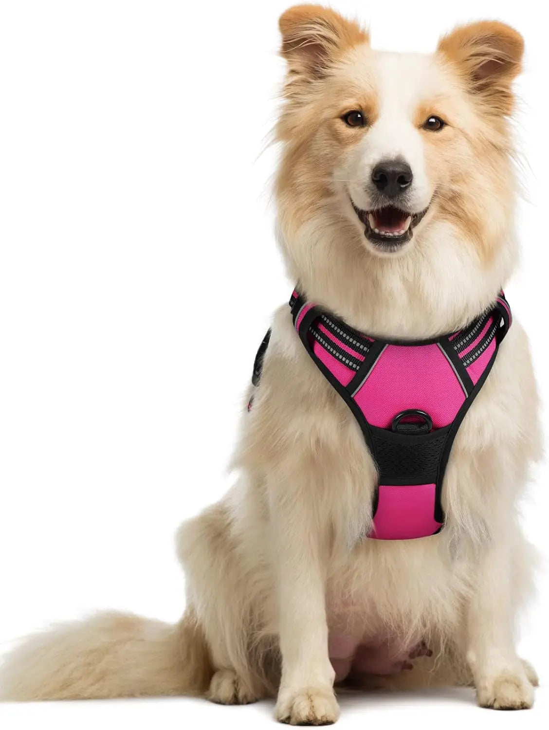 No-Pull Dog Harness