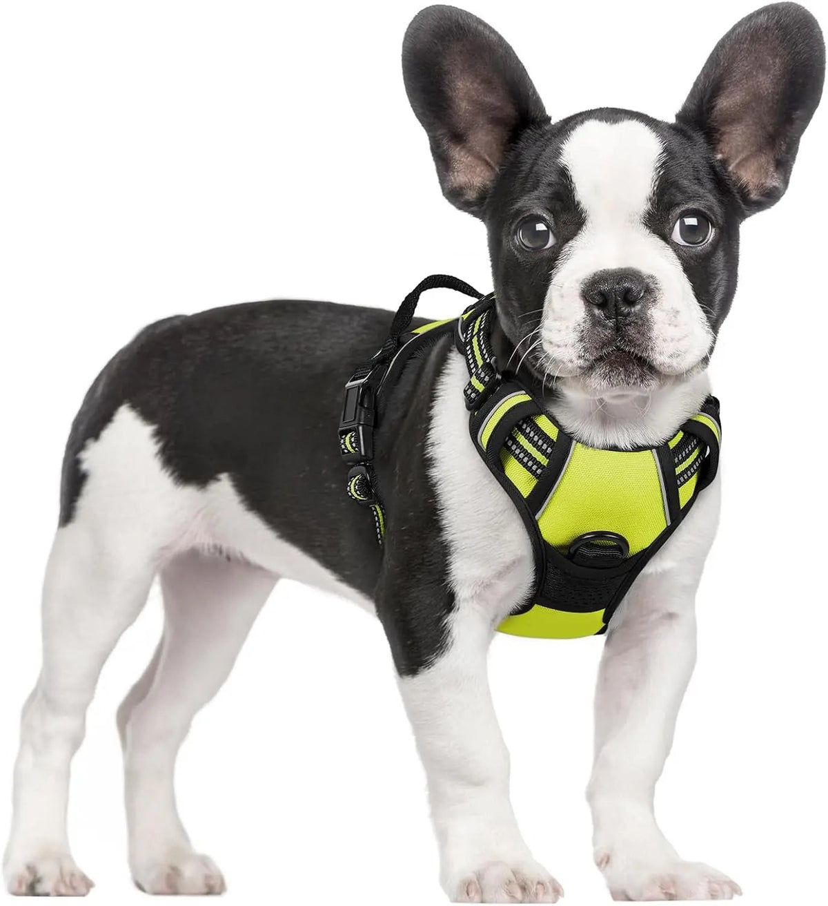 No-Pull Dog Harness
