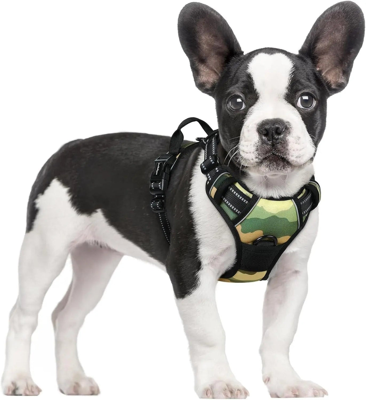 No-Pull Dog Harness