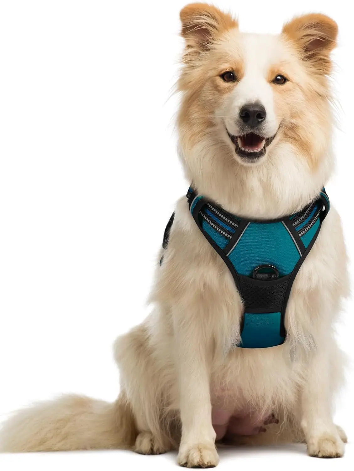 No-Pull Dog Harness