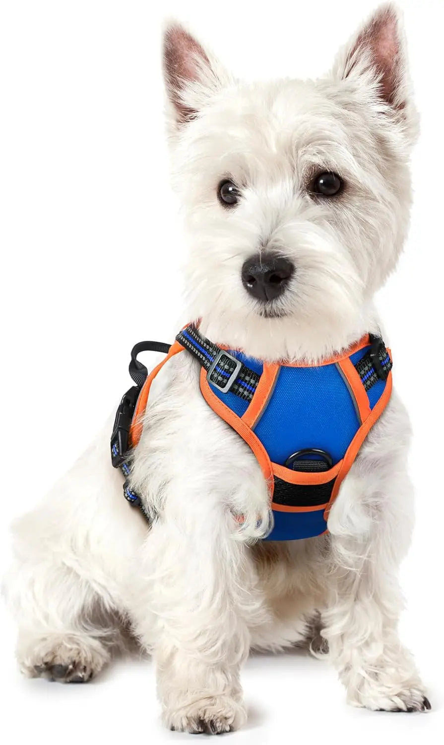No-Pull Dog Harness