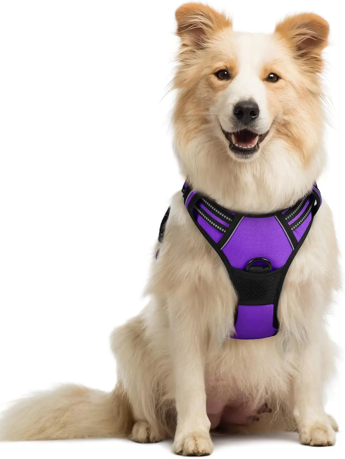 No-Pull Dog Harness