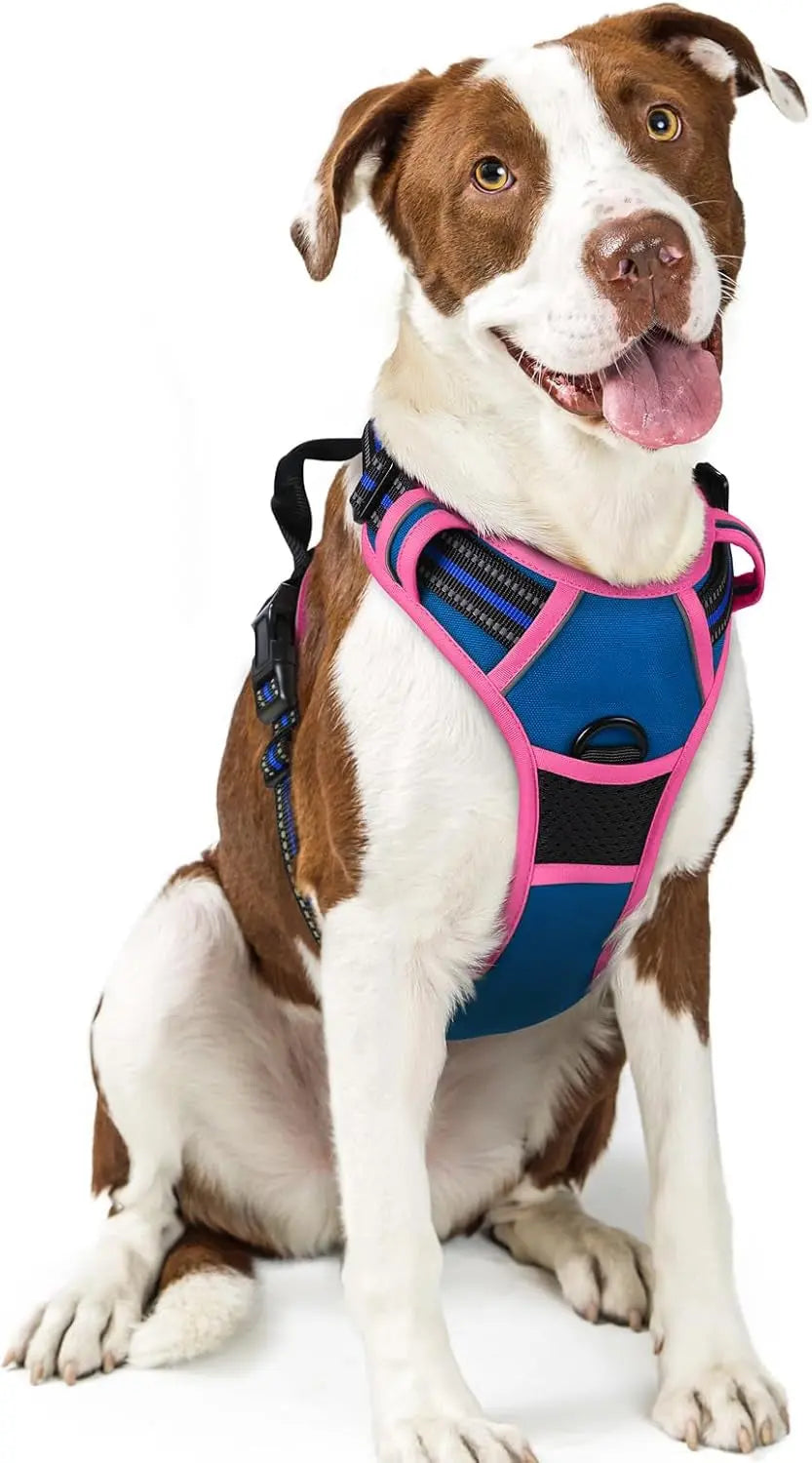 No-Pull Dog Harness