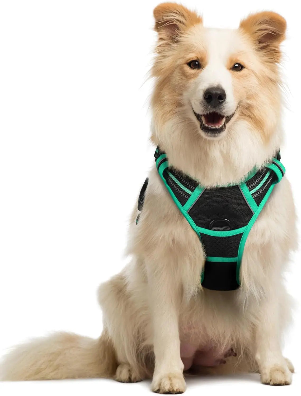 No-Pull Dog Harness