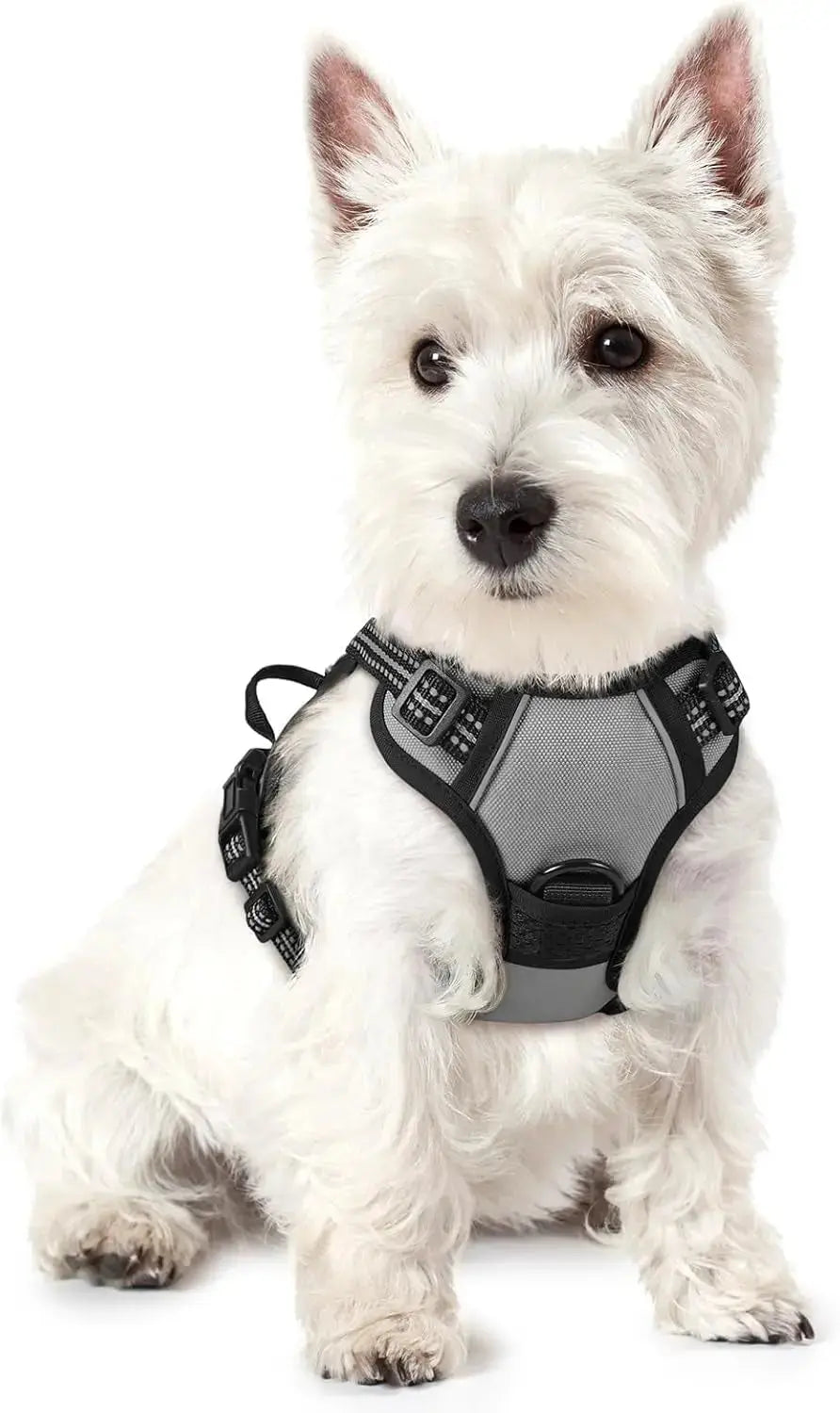 No-Pull Dog Harness