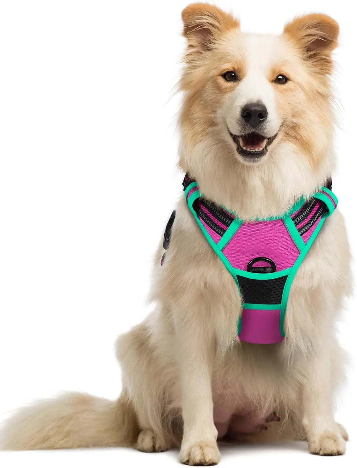 No-Pull Dog Harness