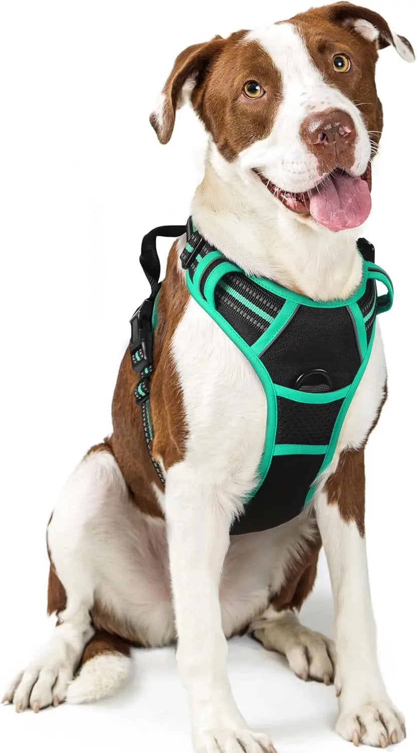 No-Pull Dog Harness
