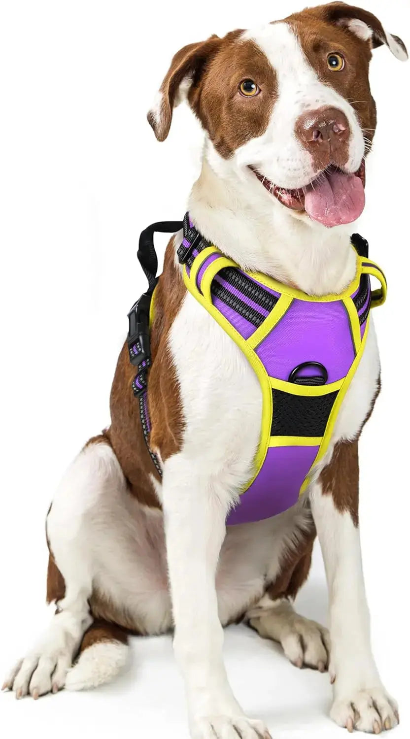 No-Pull Dog Harness