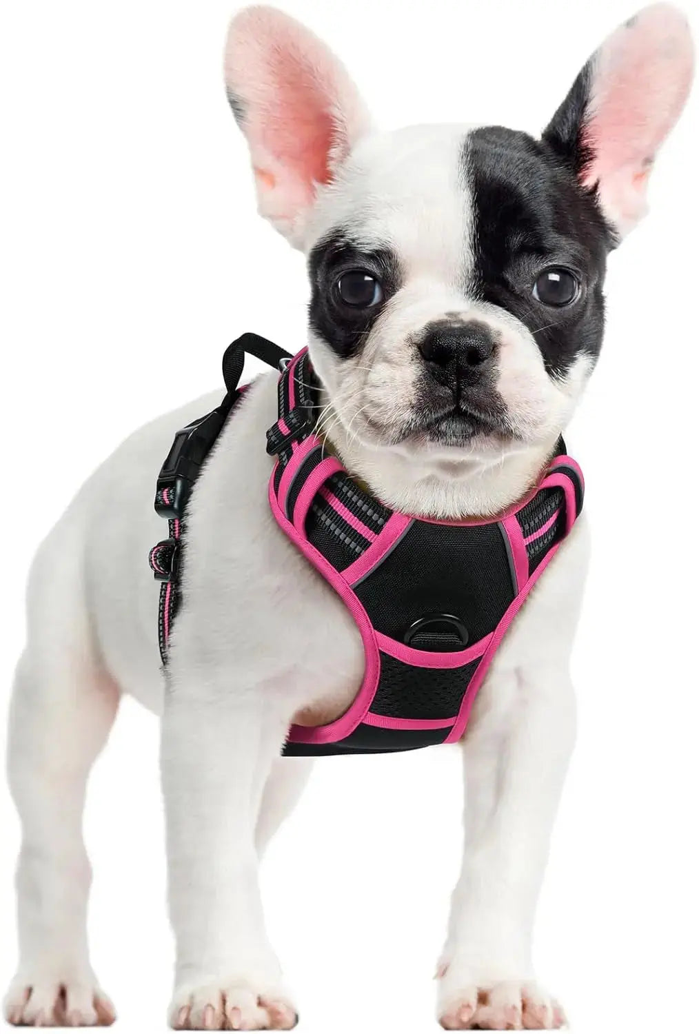 No-Pull Dog Harness