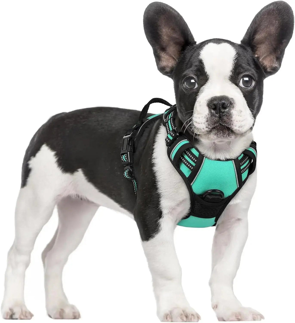 No-Pull Dog Harness