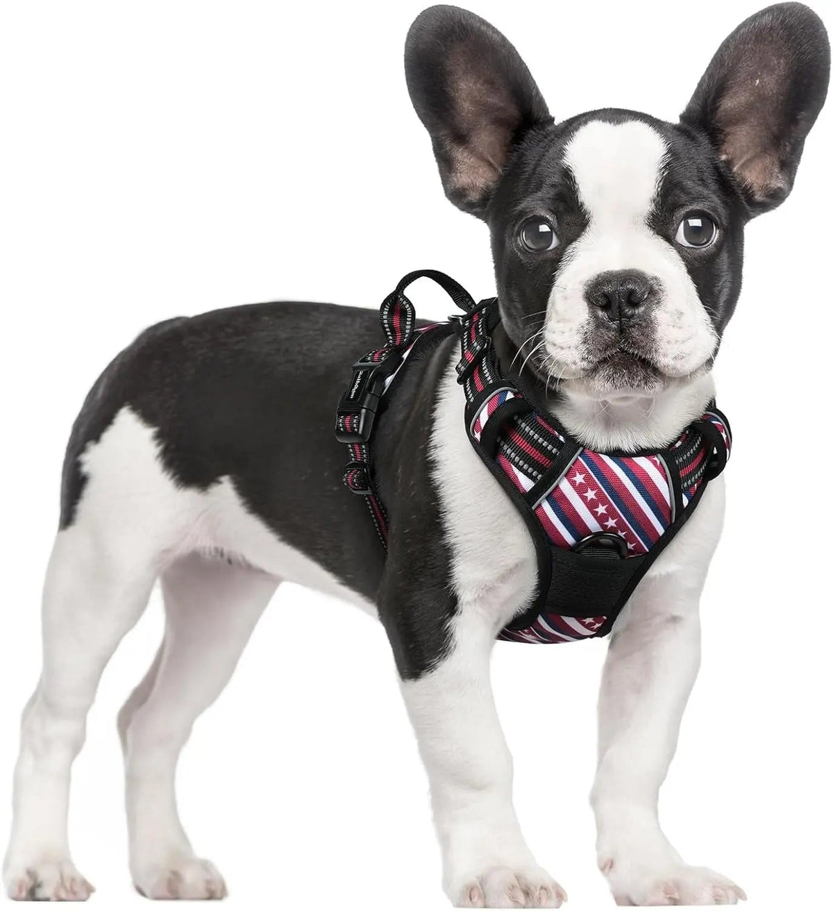 No-Pull Dog Harness