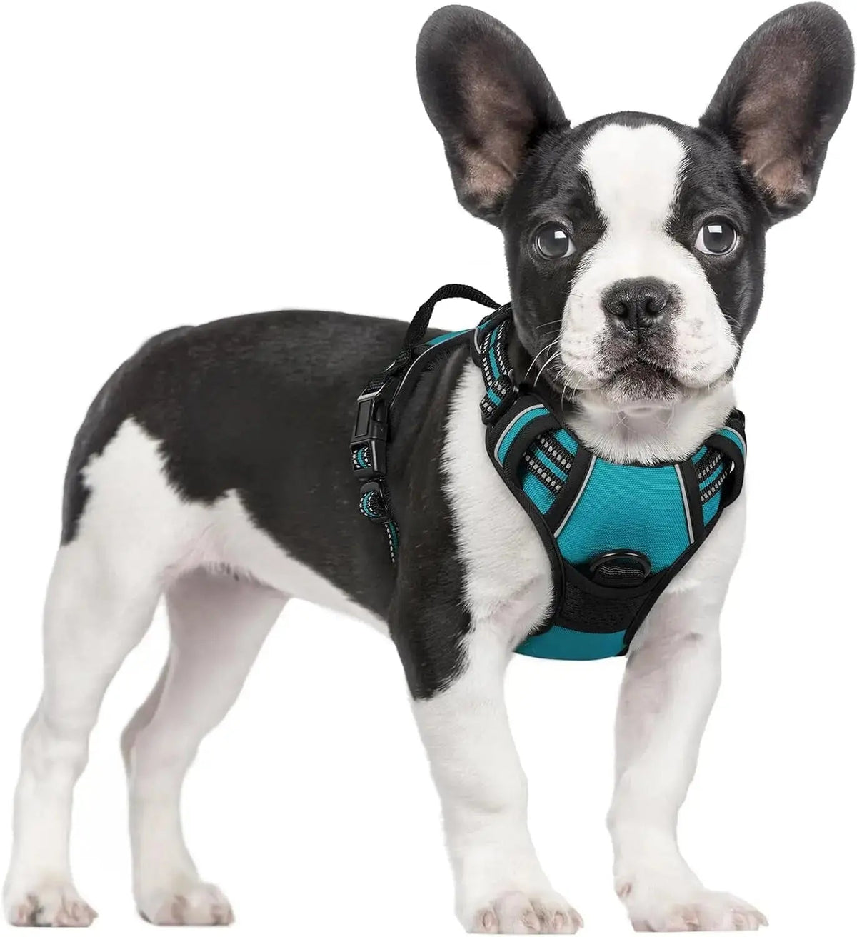 No-Pull Dog Harness