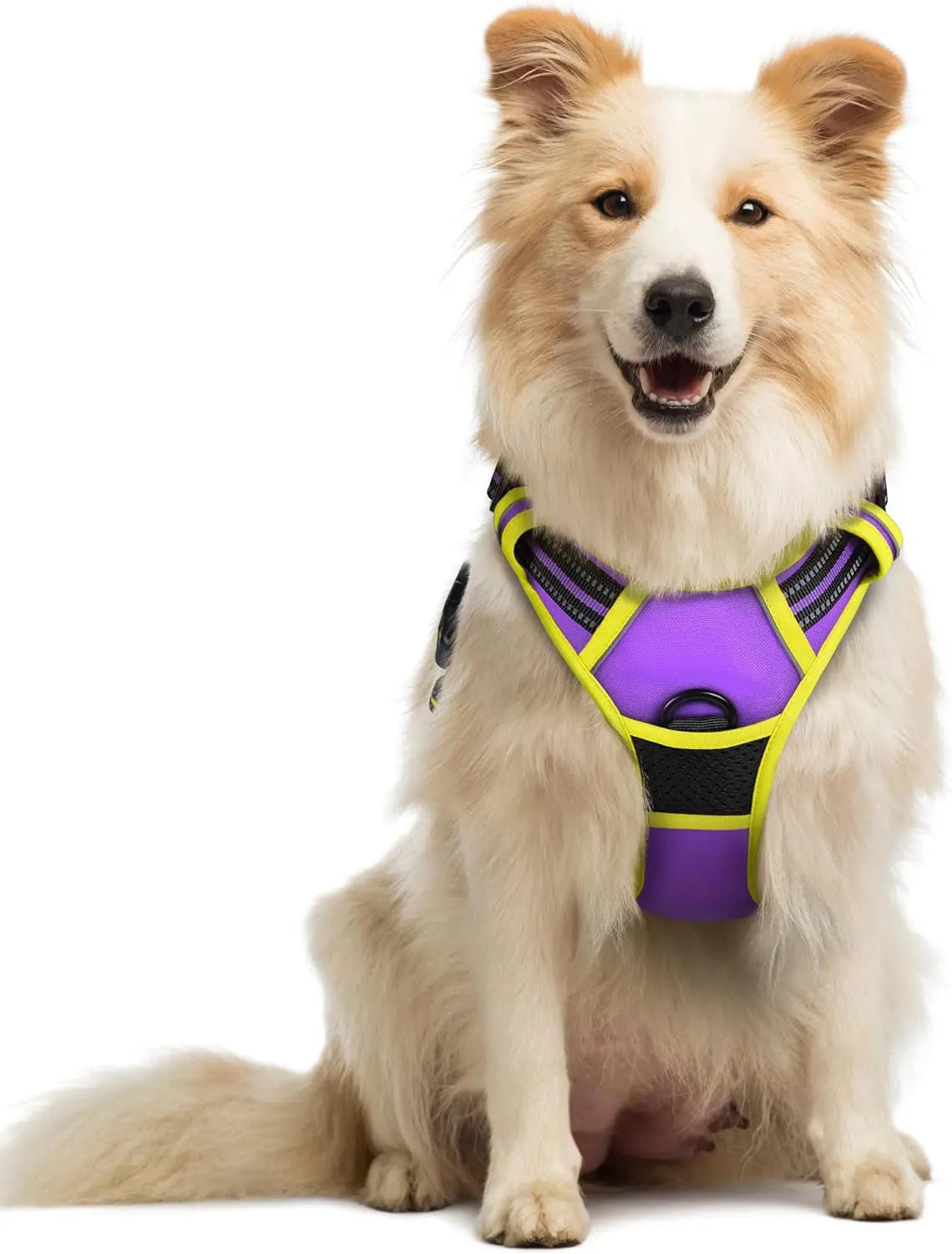 No-Pull Dog Harness