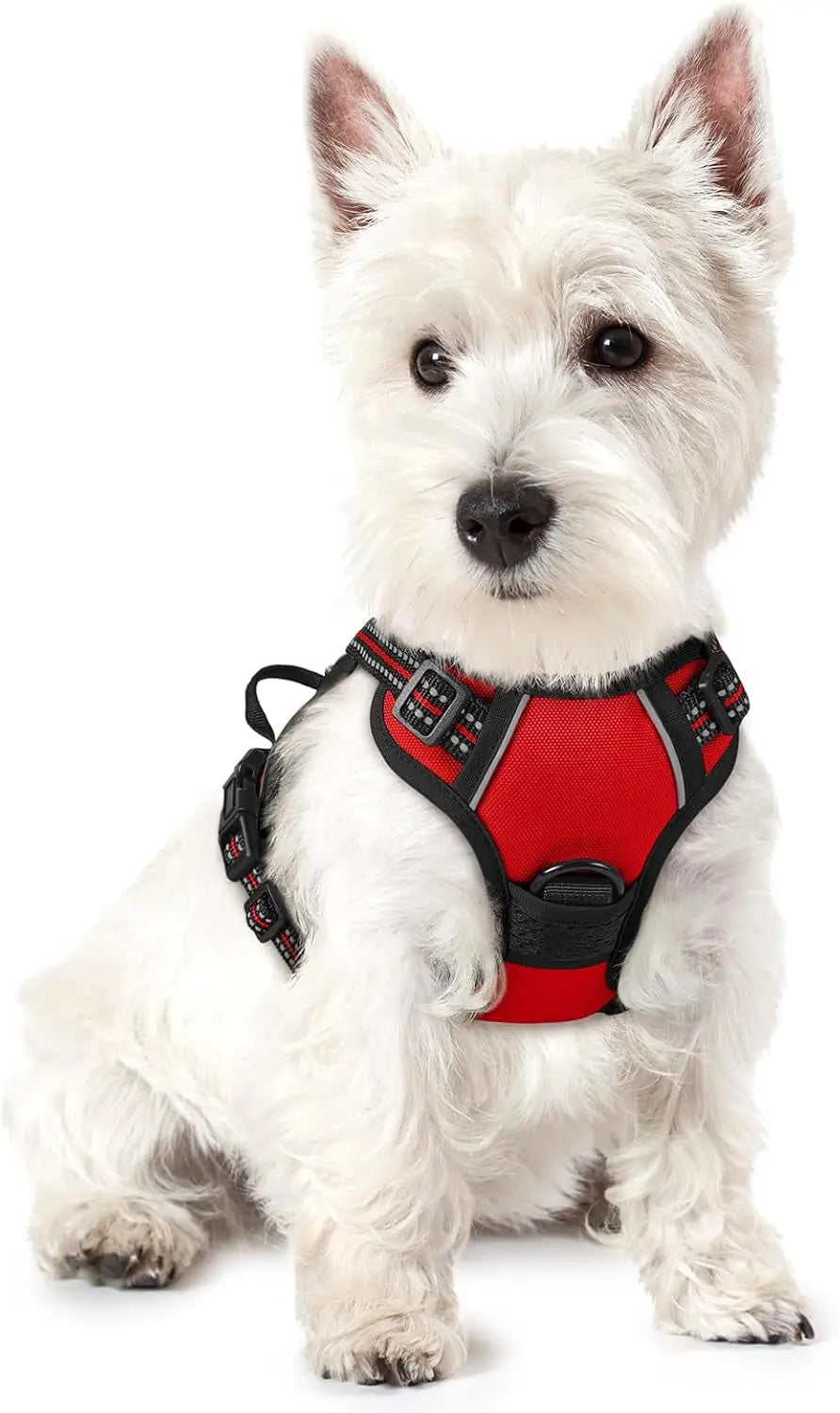 No-Pull Dog Harness