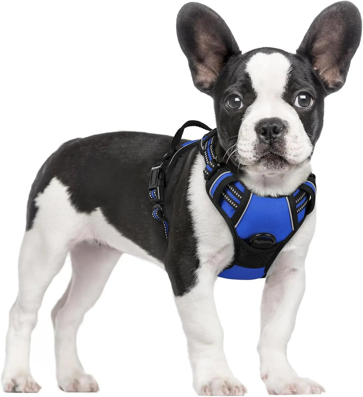 No-Pull Dog Harness
