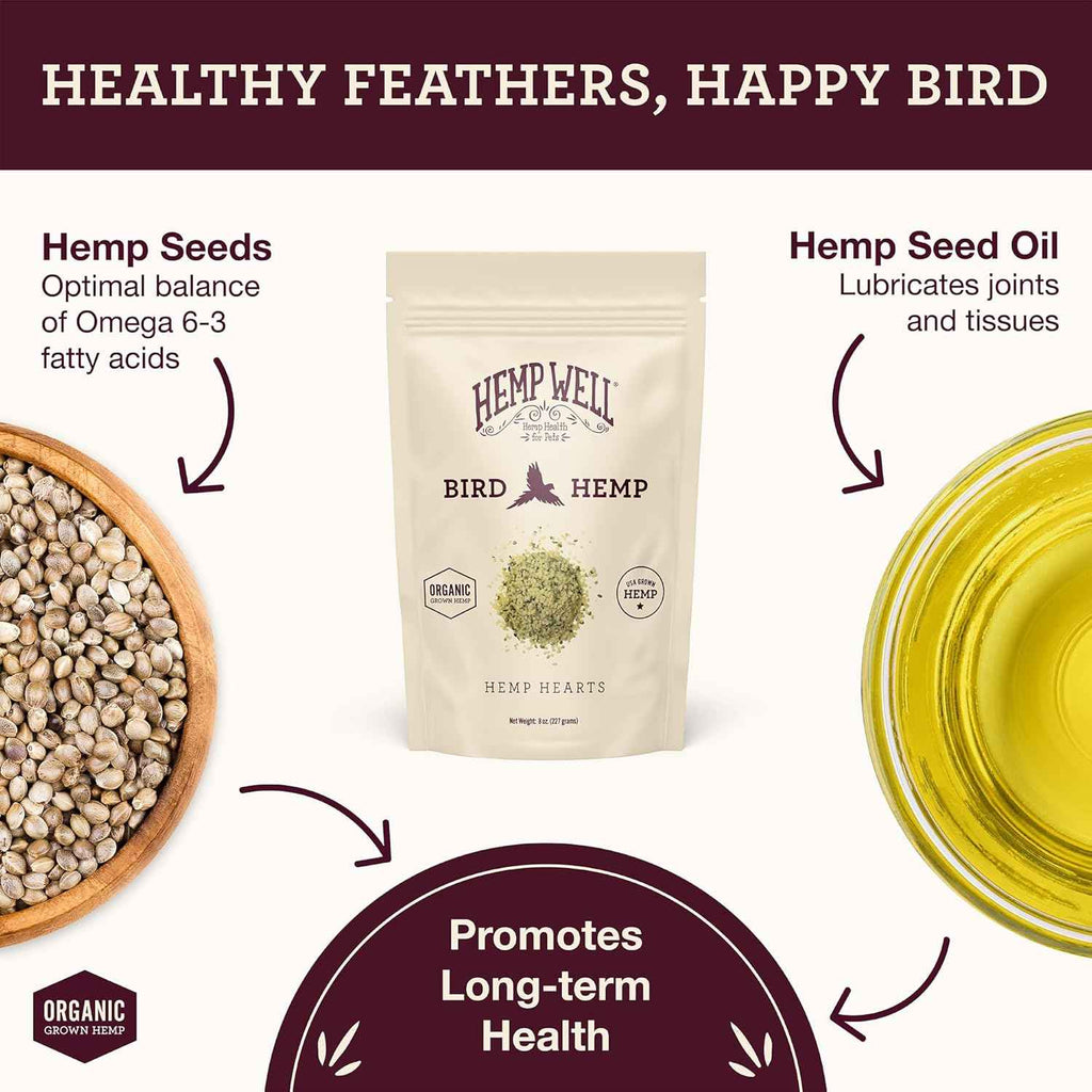 Promotional graphic for Hemp Well Bird Hemp 'Hemp Hearts' bird supplement. The central subject is a beige stand-up pouch of the product, surrounded by callout arrows and text explaining the benefits of hemp seeds, hemp seed oil, and how it promotes long-term health.