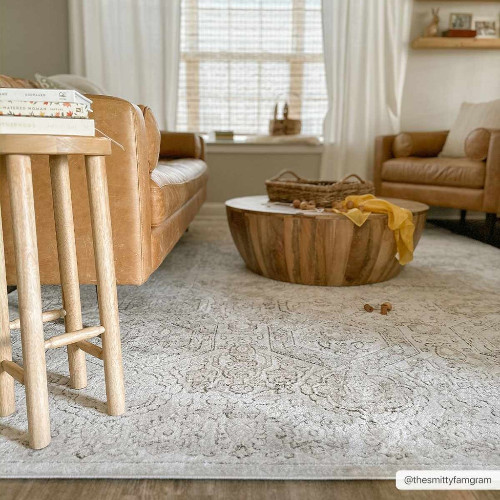Parkerfield Moroccan Farmhouse Area Rug
