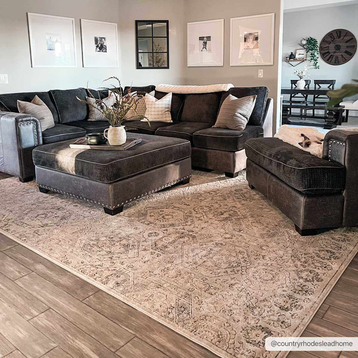 Parkerfield Moroccan Farmhouse Area Rug
