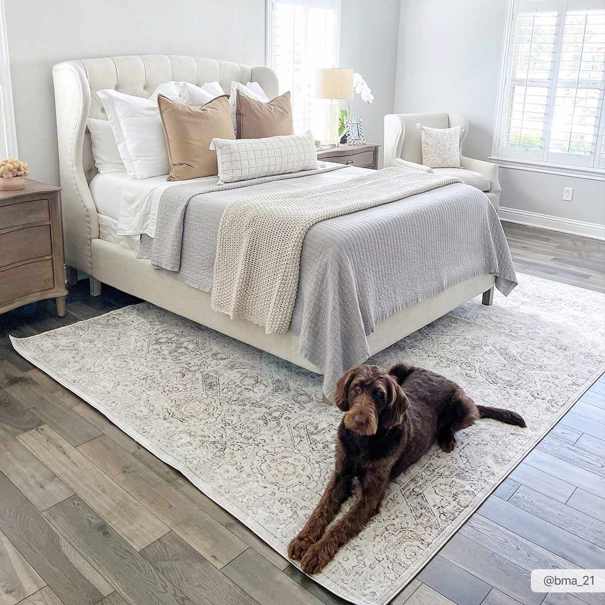 Parkerfield Moroccan Farmhouse Area Rug