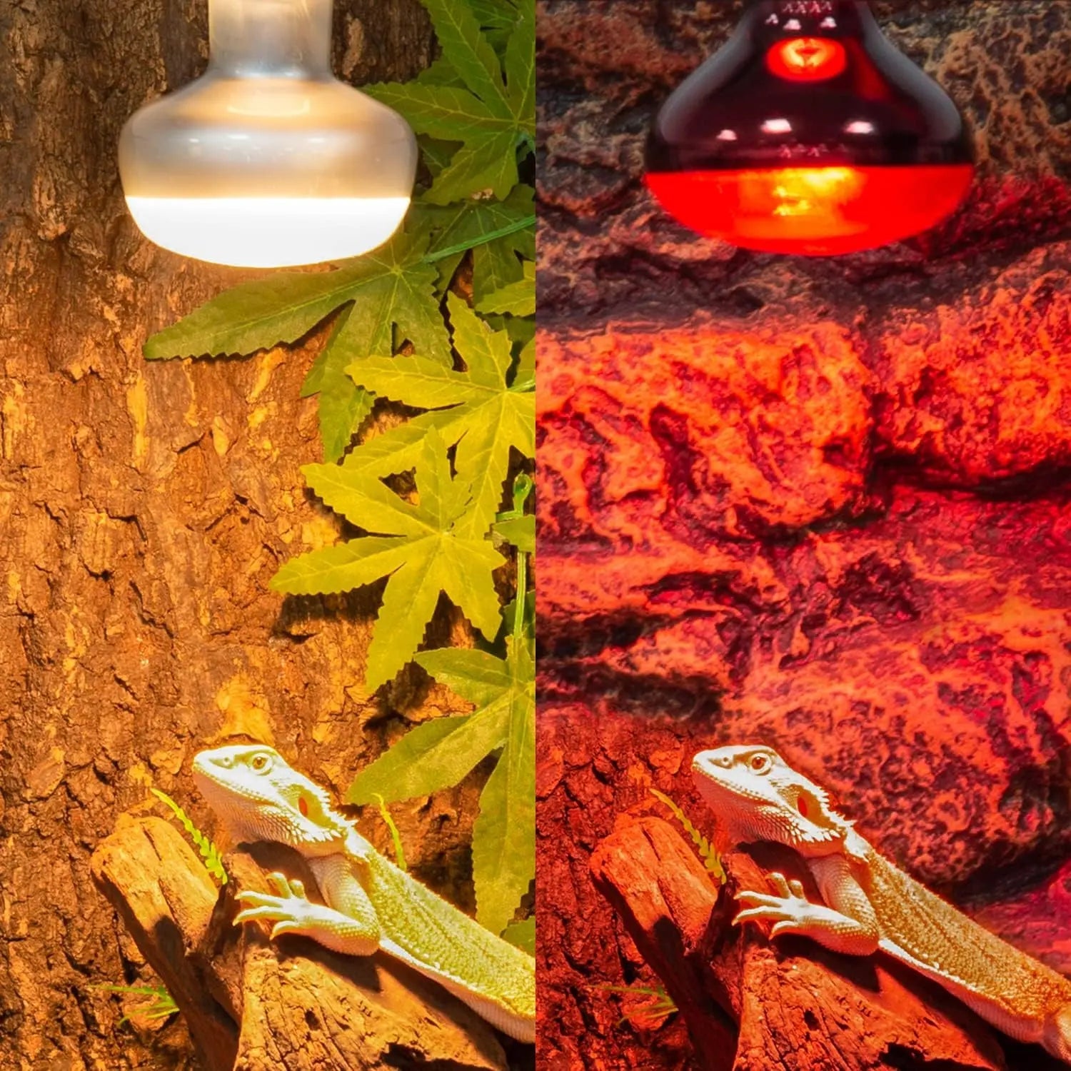 75W Reptile Heat Lamp Bulbs – UVA Daylight & Infrared Night Combo or Infrared Only | E26, 120V | 2,000–3,000 Hour Lifespan