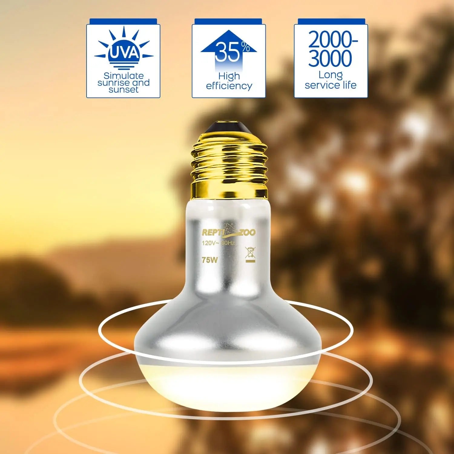 75W Reptile Heat Lamp Bulbs – UVA Daylight & Infrared Night Combo or Infrared Only | E26, 120V | 2,000–3,000 Hour Lifespan
