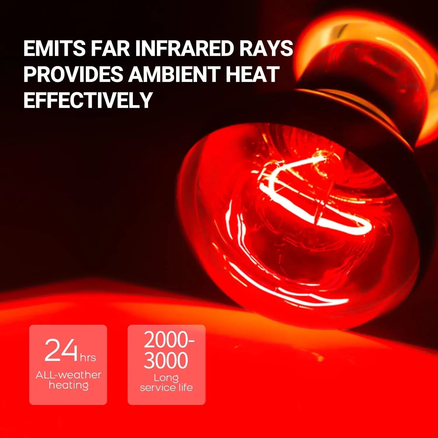 75W Reptile Heat Lamp Bulbs – UVA Daylight & Infrared Night Combo or Infrared Only | E26, 120V | 2,000–3,000 Hour Lifespan