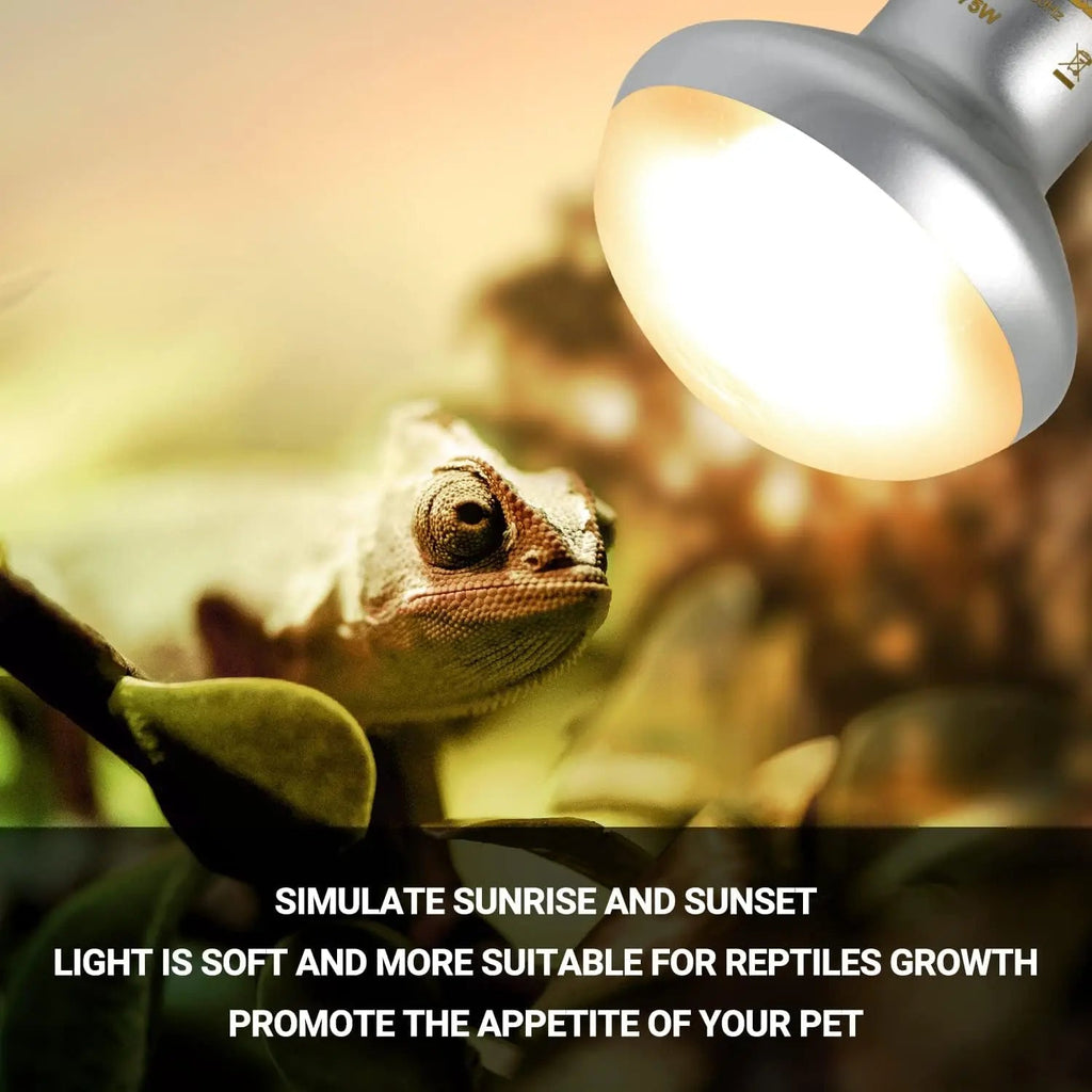 75W Reptile Heat Lamp Bulbs – UVA Daylight & Infrared Night Combo or Infrared Only | E26, 120V | 2,000–3,000 Hour Lifespan