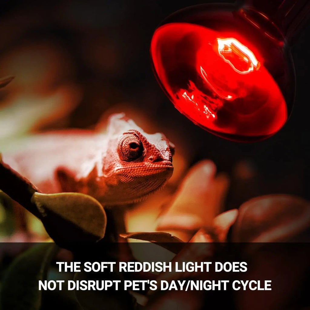75W Reptile Heat Lamp Bulbs – UVA Daylight & Infrared Night Combo or Infrared Only | E26, 120V | 2,000–3,000 Hour Lifespan