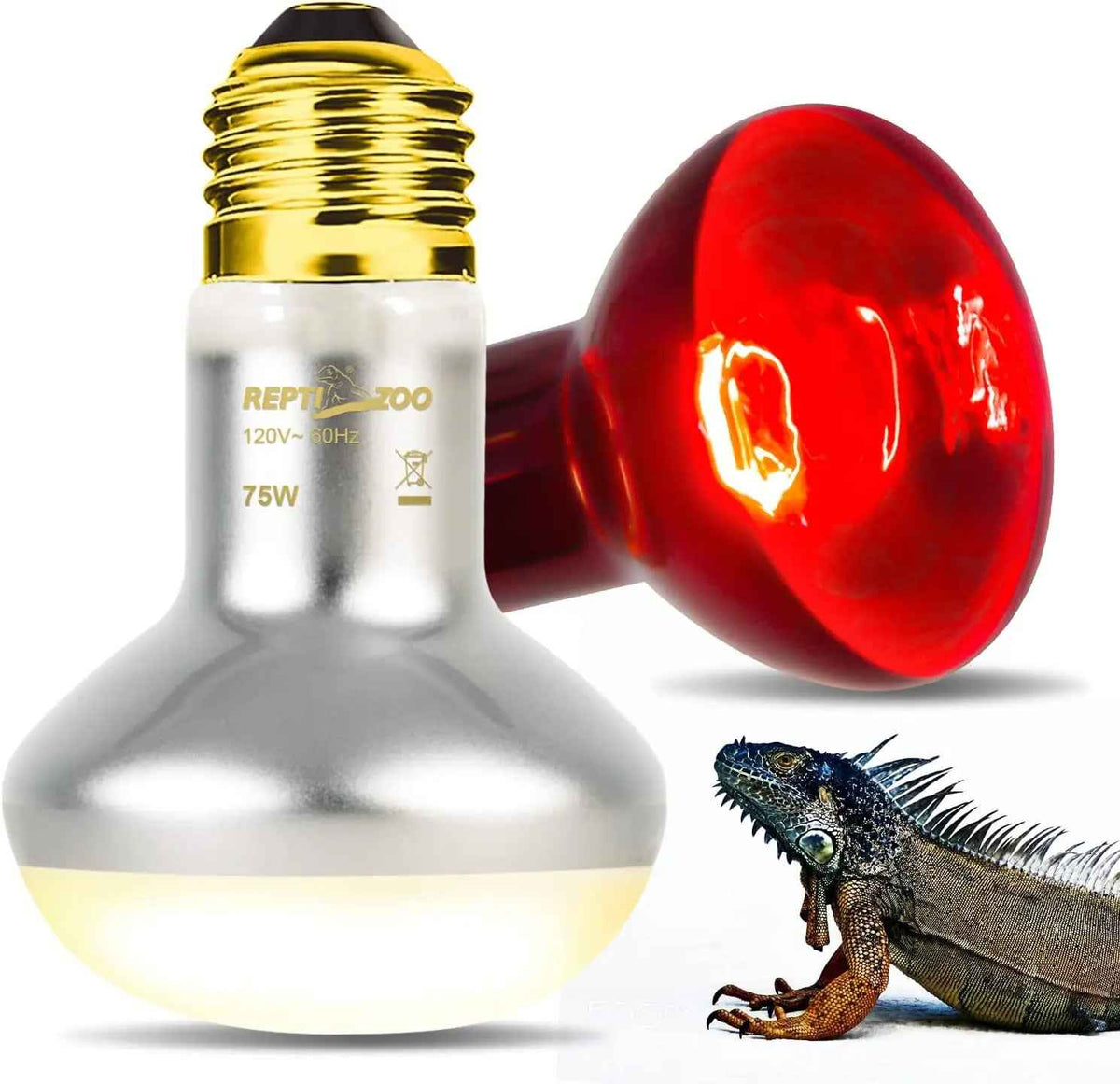Two types of light bulbs, one red and one white, with a lizard on a white background.