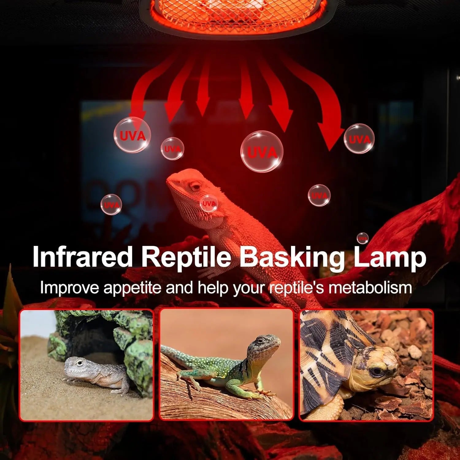 Reptile Infrared Heat Lamp Combo Kit – 50W UVA Basking Bulb with Hood, Safety Mesh & Spring Clamp | Bearded Dragons, Turtles & Geckos