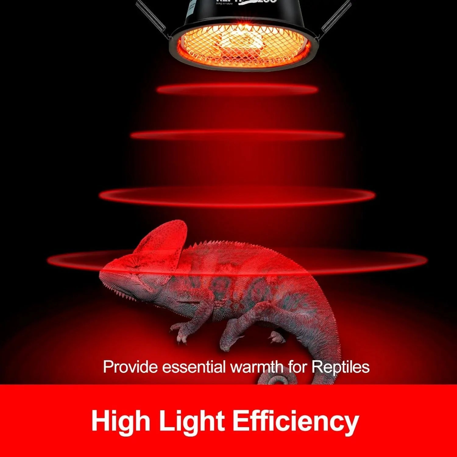 Reptile Infrared Heat Lamp Combo Kit – 50W UVA Basking Bulb with Hood, Safety Mesh & Spring Clamp | Bearded Dragons, Turtles & Geckos