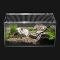 Reptile terrarium with a spider on a rock, black background
