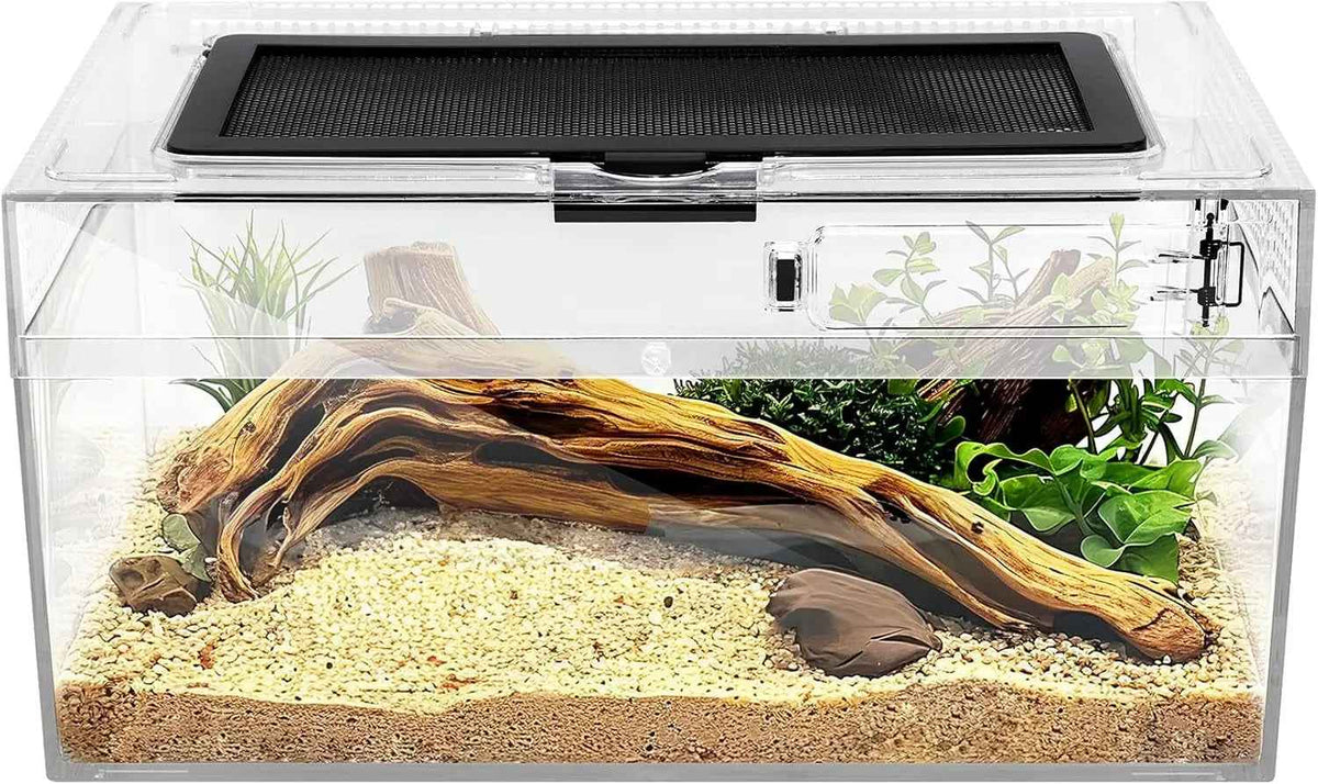 Clear terrarium with sand, wood, and plants