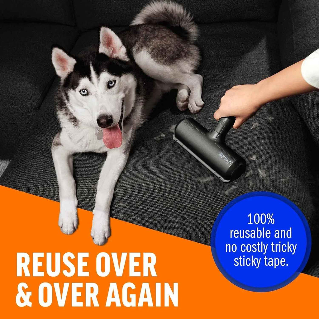 Dog lying on a couch with a grooming tool, text about reusability, and a blue circle with text.