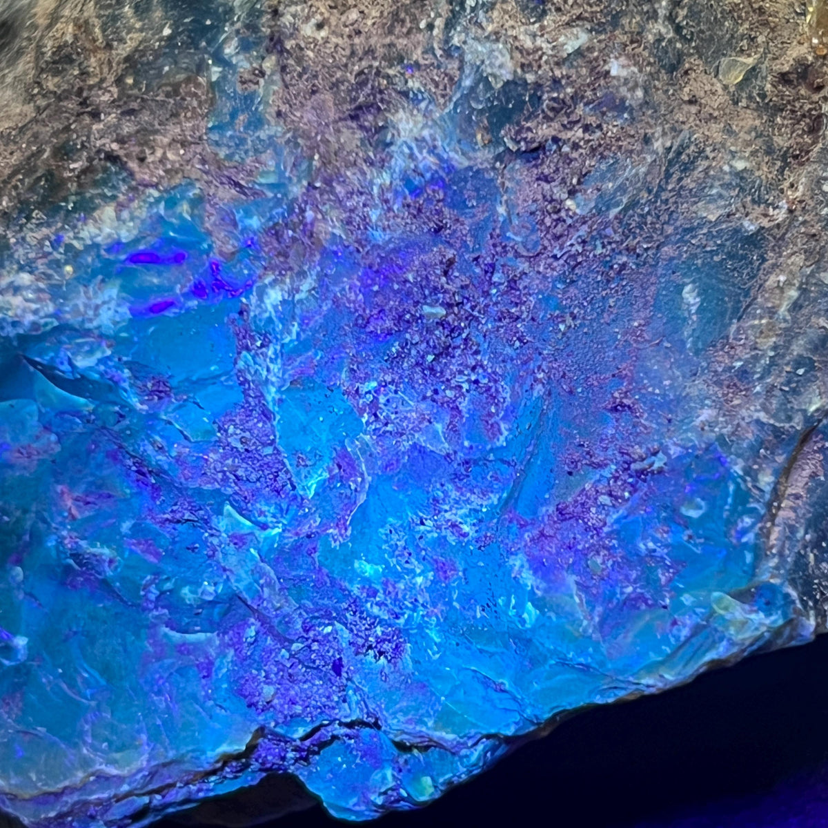 Rough black amber surface illuminated blue and purple under UV light, with tan crust along the upper edge