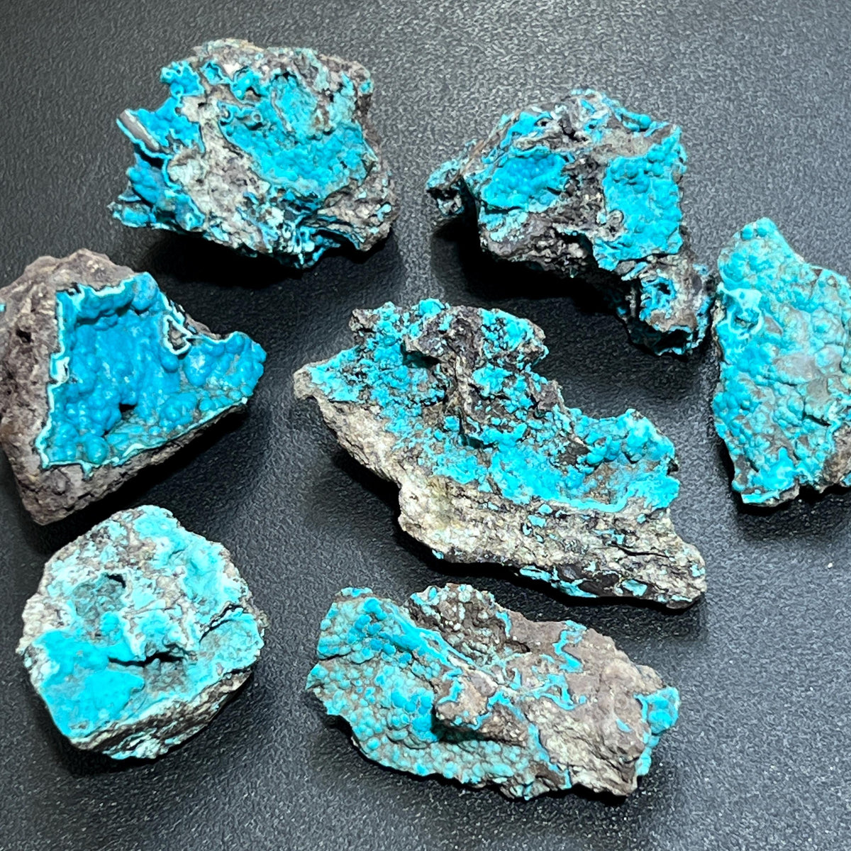 Rough chrysocolla clusters with bright turquoise-blue rounded surfaces on dark gray matrix arranged on a black background