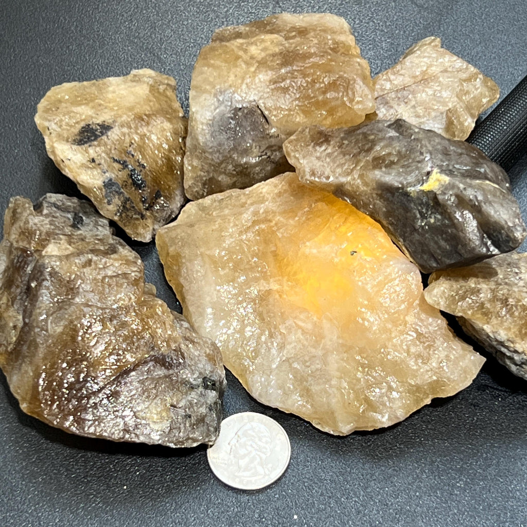 Rough golden and smoky citrine stones beside a quarter for size comparison on a dark surface.
