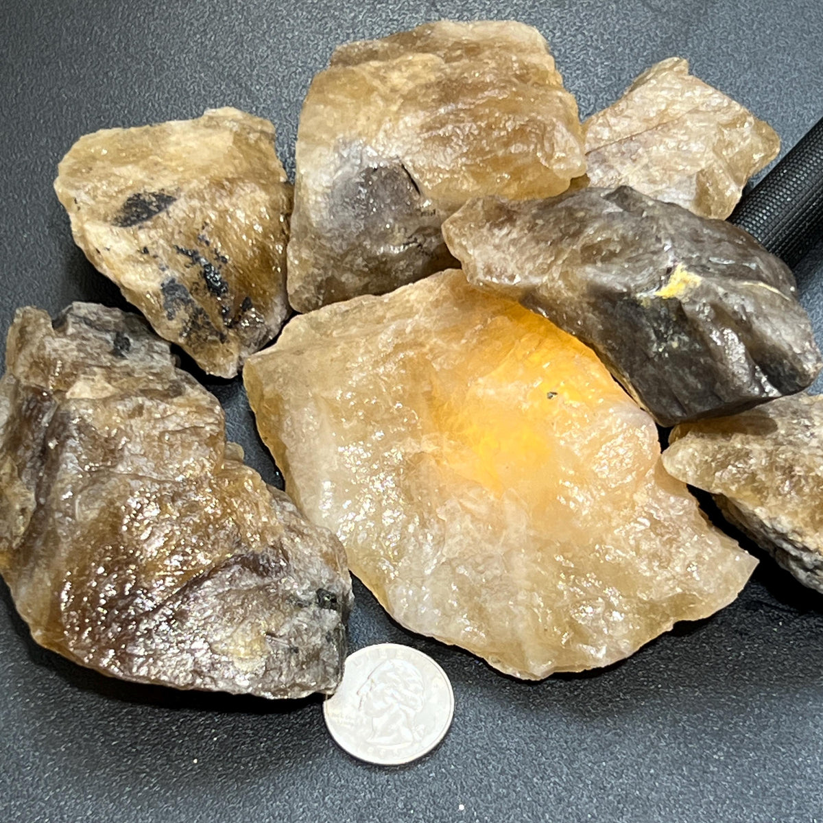 Rough golden and smoky citrine stones beside a quarter for size comparison on a dark surface.
